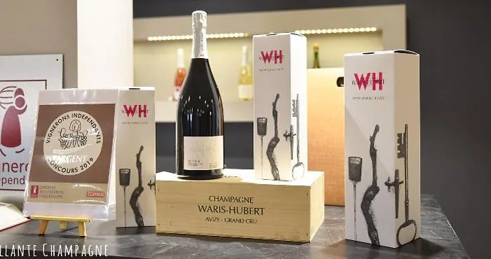 Les Bulles Blanches * Avize