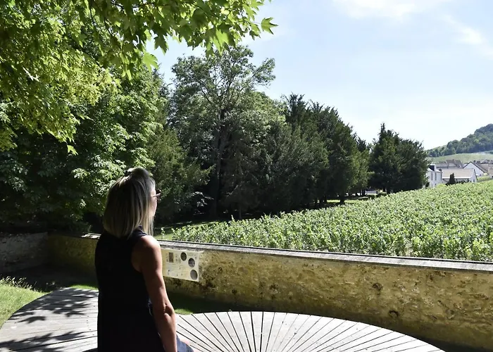 아파트 Les Bulles Blanches Avize